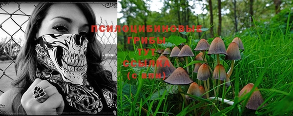 2c-b Коряжма