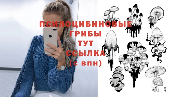 COCAINE Корсаков