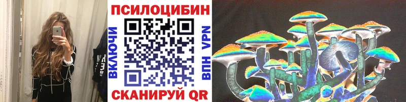 Псилоцибиновые грибы Psilocybe  Купить  Карабаш 